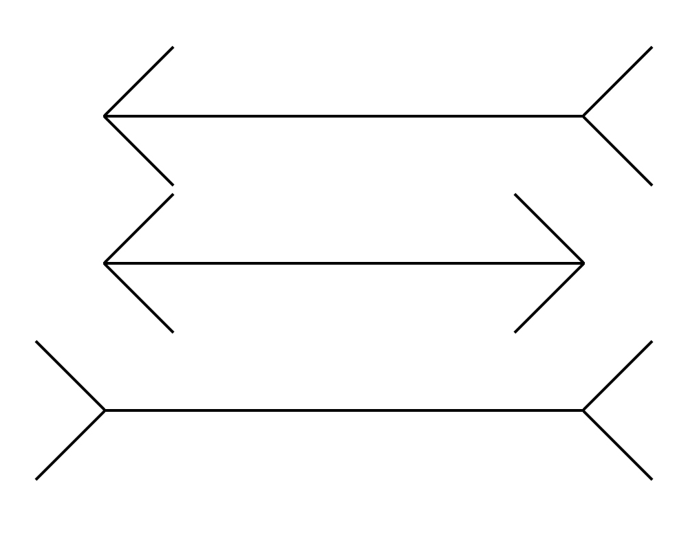 Złudzenie Mullera-Lyera
