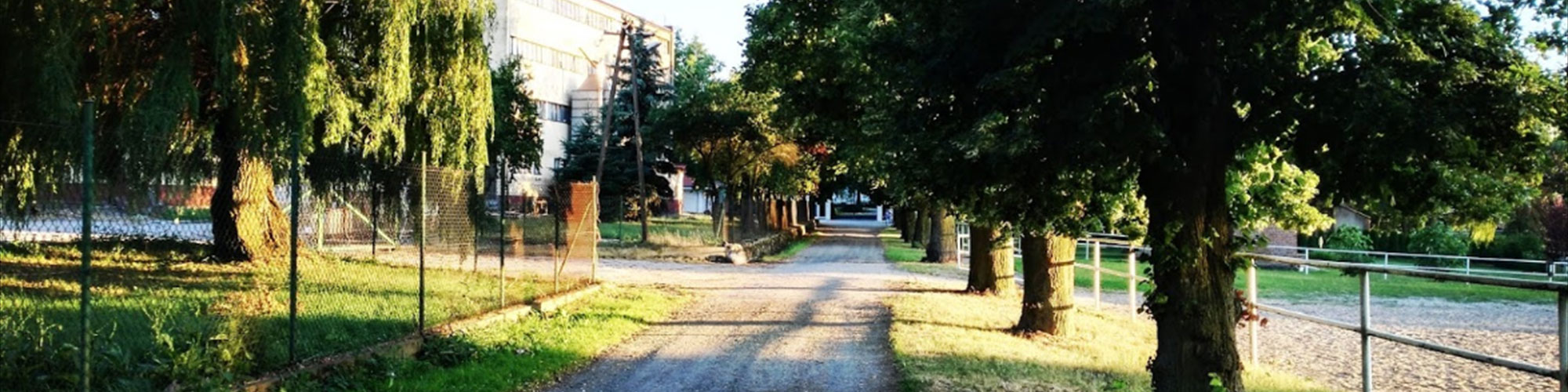 Działowo